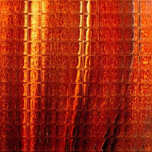 Orange Background 2016 (27)