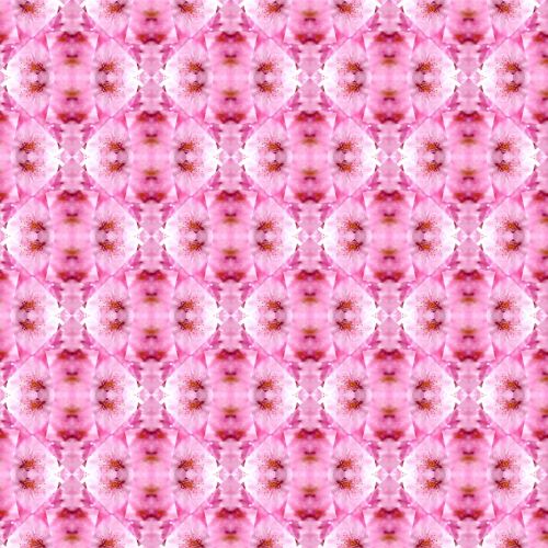 Pink Background 2015 (10) B