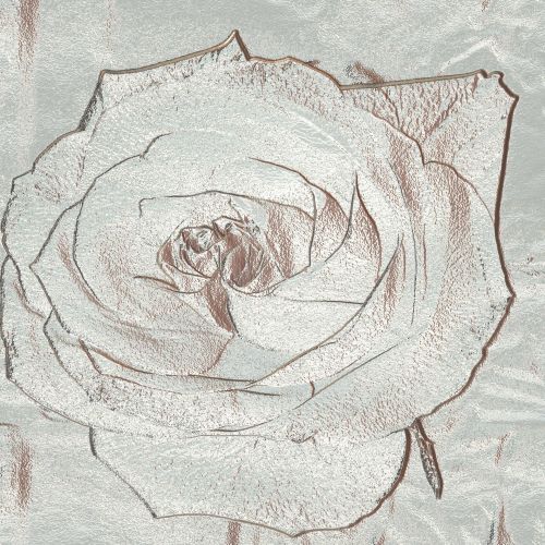 Rose Silver Background