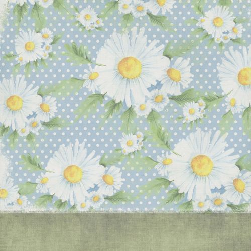 Background Scrapbook Daisy Flower