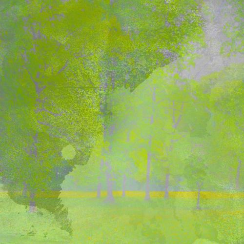 Background Texture Green Grunge