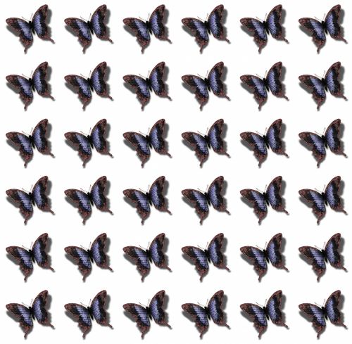Background With Butterflies
