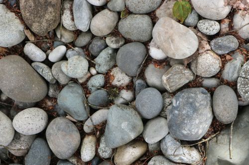 Background With Rocks