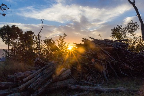 backlit  landscape  woods