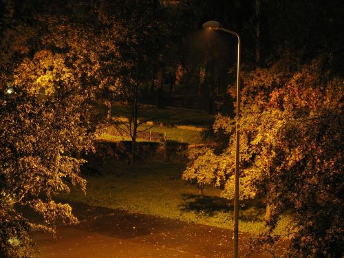 backyard lantern night