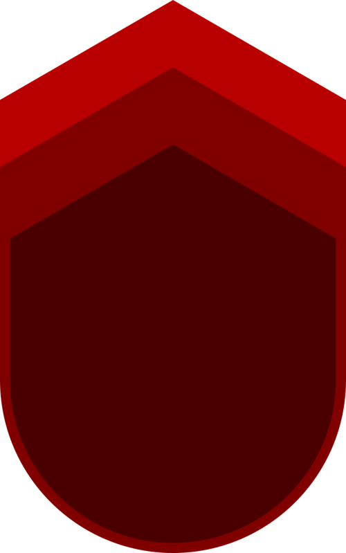 badge graphic military