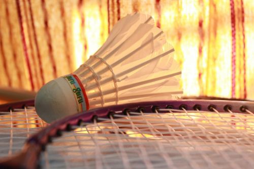 badminton shuttlecock sports