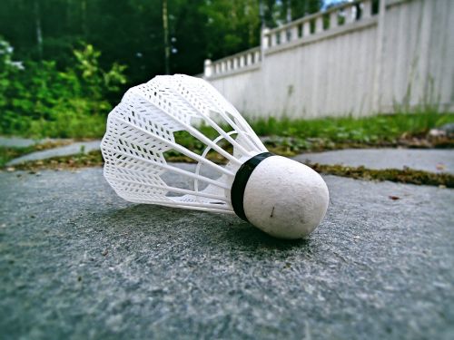 badminton ball feather