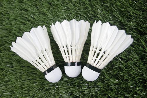 badminton sport shuttlecock