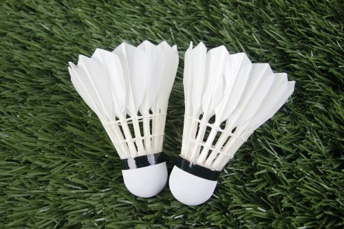 badminton sport shuttlecock