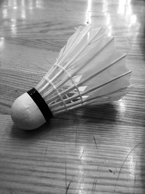 badminton  ball  shutlecock
