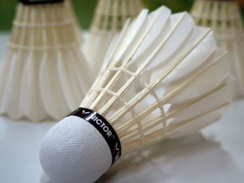 badminton ball sport