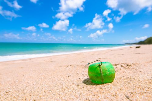 bait ball andaman sea