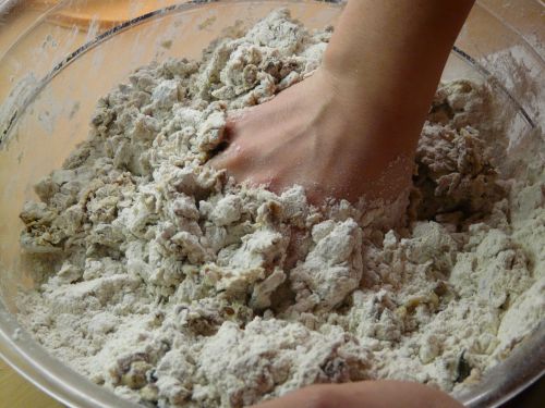 bake dough knead