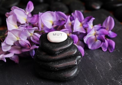 balance meditation stones