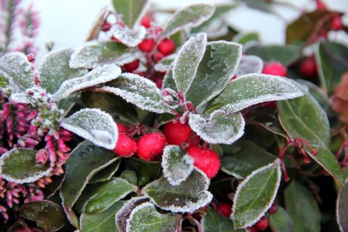 balcony winter cold