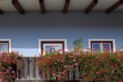 balcony  floral decorations  architecture