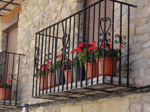 balcony flowers geraniums