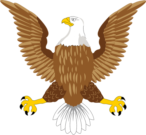 bald eagle national