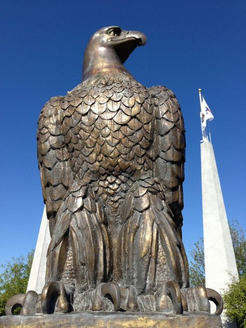bald eagle eagle bronze