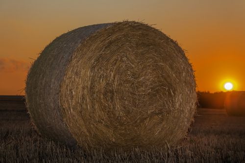 bale straw agriculture