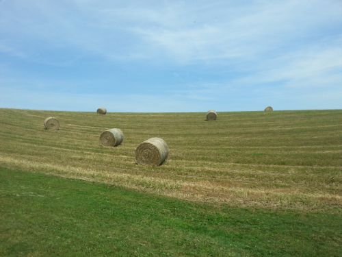 bale straw hay