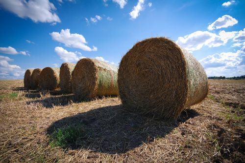 bale of straw summer the end of the summer