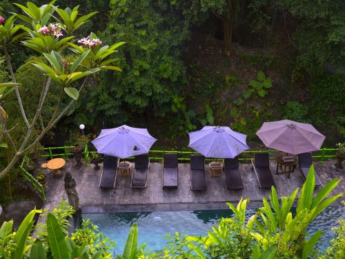 bali nature pool