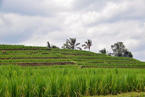 bali indonesia travel