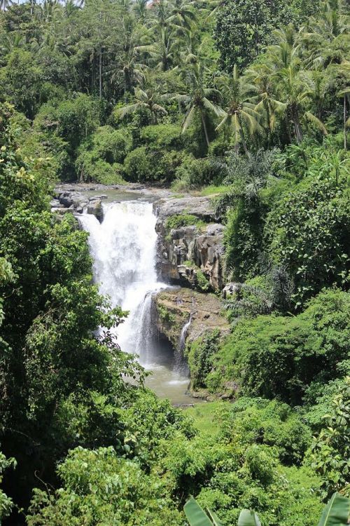 bali waterfall indonesian