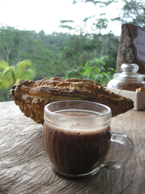 bali coffee cacao