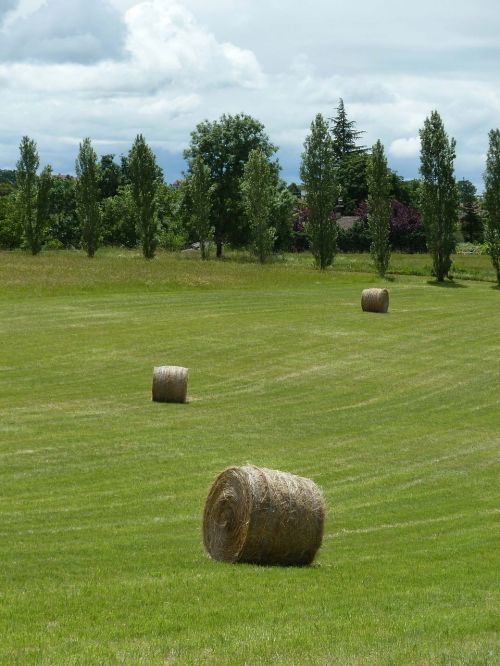 ball straw hay