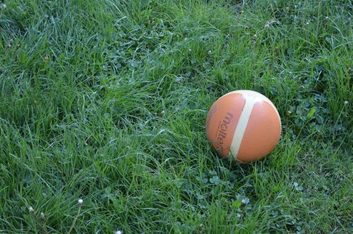 ball orange grass