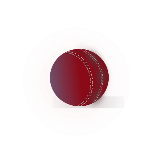 ball cricket leather