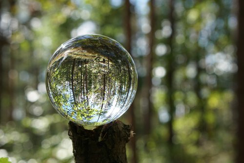 ball  macro  landscape