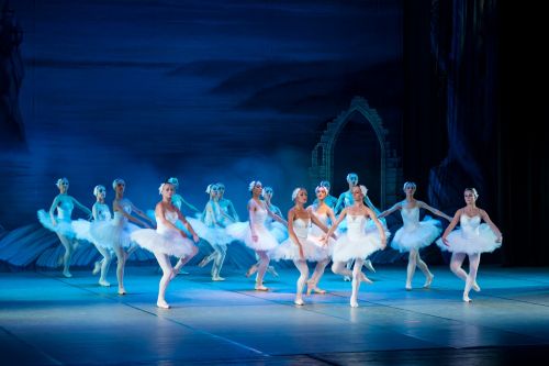 ballet swan lake ballerina