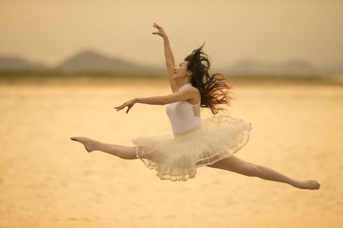 ballet fly sea