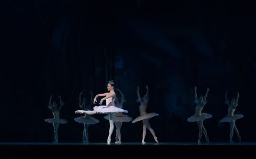 ballet performance don quixote