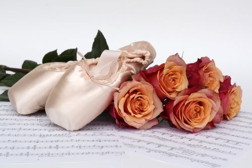 ballet shoes dance roses