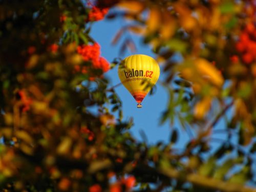 balloon colorful autumn