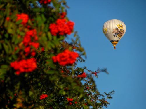 balloon hot air fly