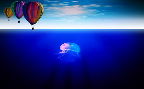 balloon sea jellyfish