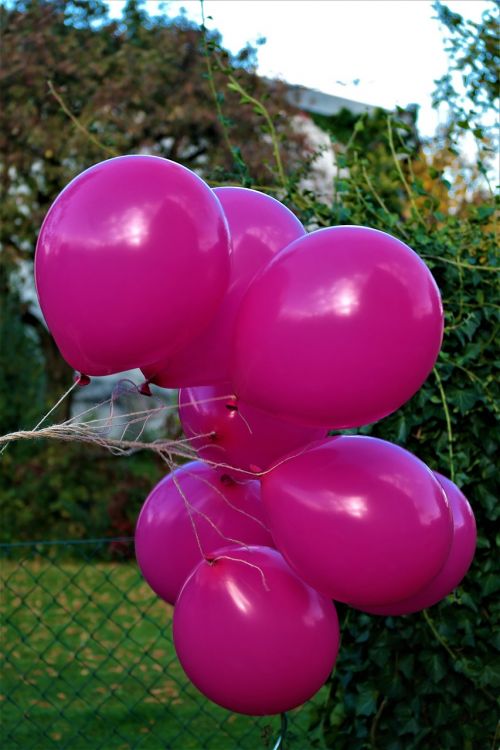 balloon fly pink
