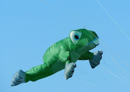 balloon dragons frog