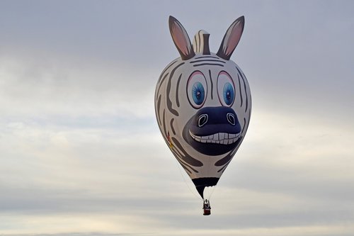 balloon  animal  cartoon