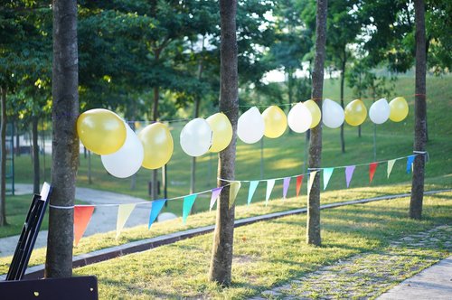 balloon  party  nature