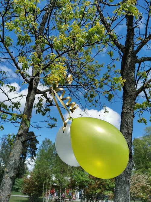 balloon  tree  spring