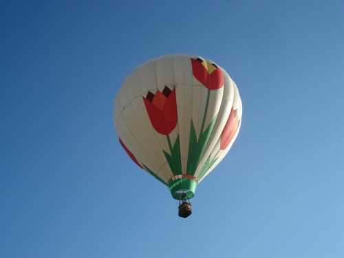 balloon sky tulips