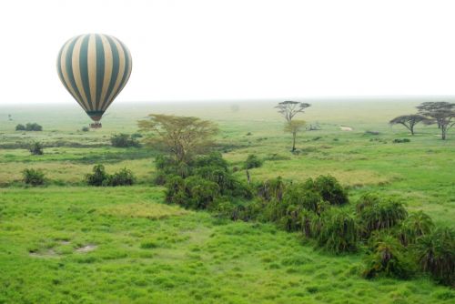 balloon serengeti tanzania
