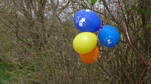 balloons bush mark